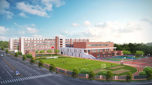 砂子塘小学 首驻长沙县 保利 檀樾 砂子塘集团签约仪式隆重举行