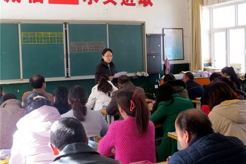 来自南街小学 七里镇中学 阳关中学 转渠口中学 孟家桥中学 市幼儿园 板桥小学 五墩中学的校园报道