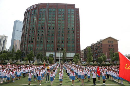 让红领巾更加鲜艳 砂子塘东澜湾小学2020年一年级入队仪式