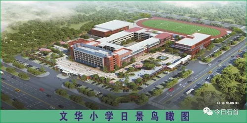 石首市文华小学建设工程项目正式开工 可容纳2400名学生就学